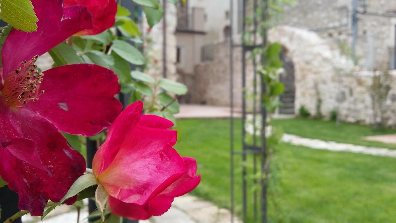 Alloggi Agrituristici Antica Dimora Vila San Demetrio ne' Vestini Exterior foto